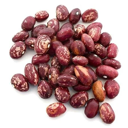 I'm Growing Cranberry Beans
