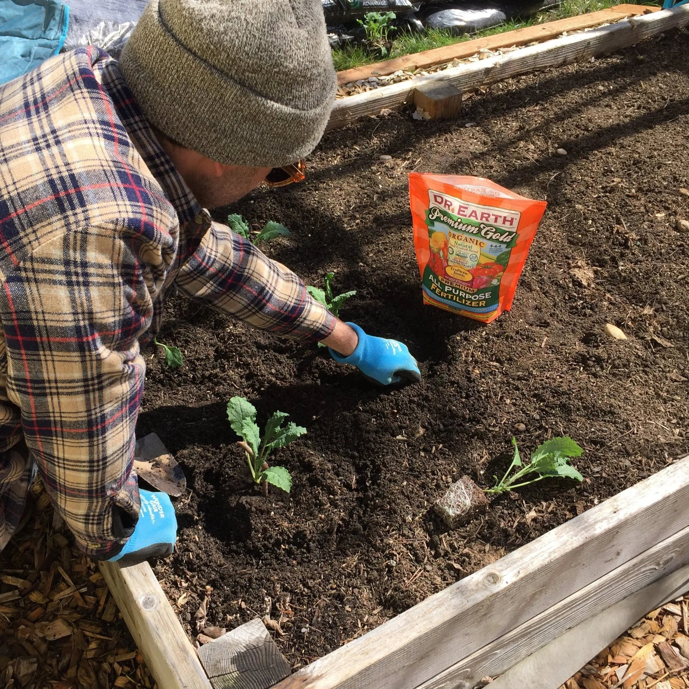 A Year in the Garden 