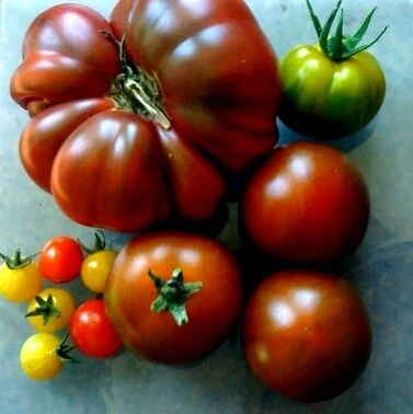 EG A Day's Harvest 2011.JPG