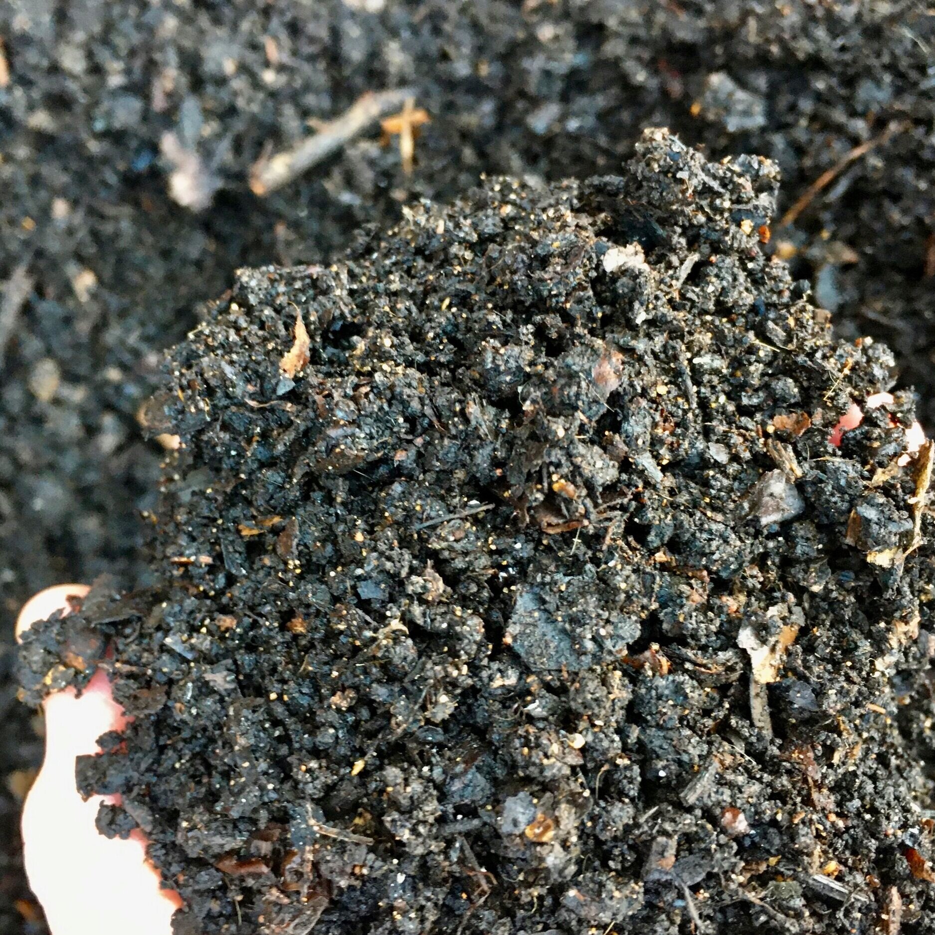 Compost--Black Gold