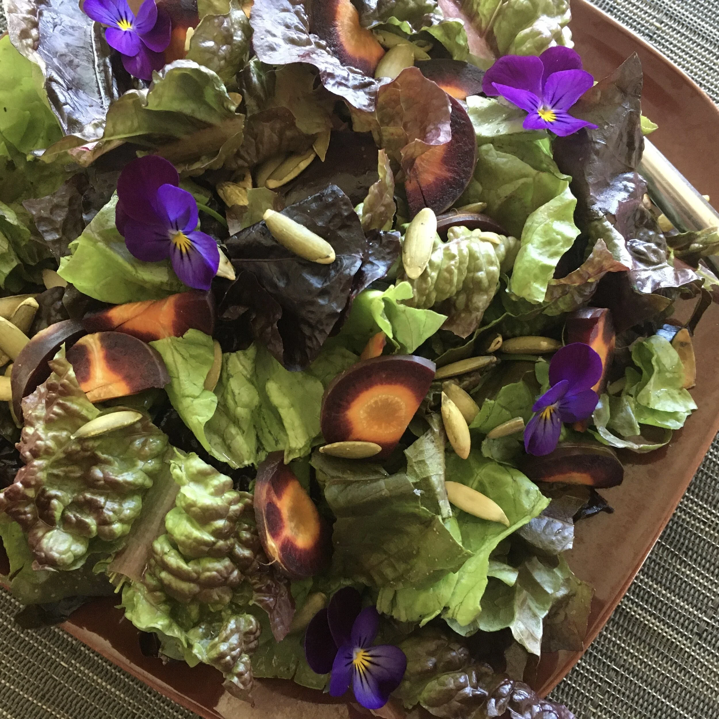 In My San Diego Garden and Kitchen