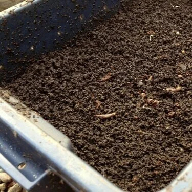Worm Composting