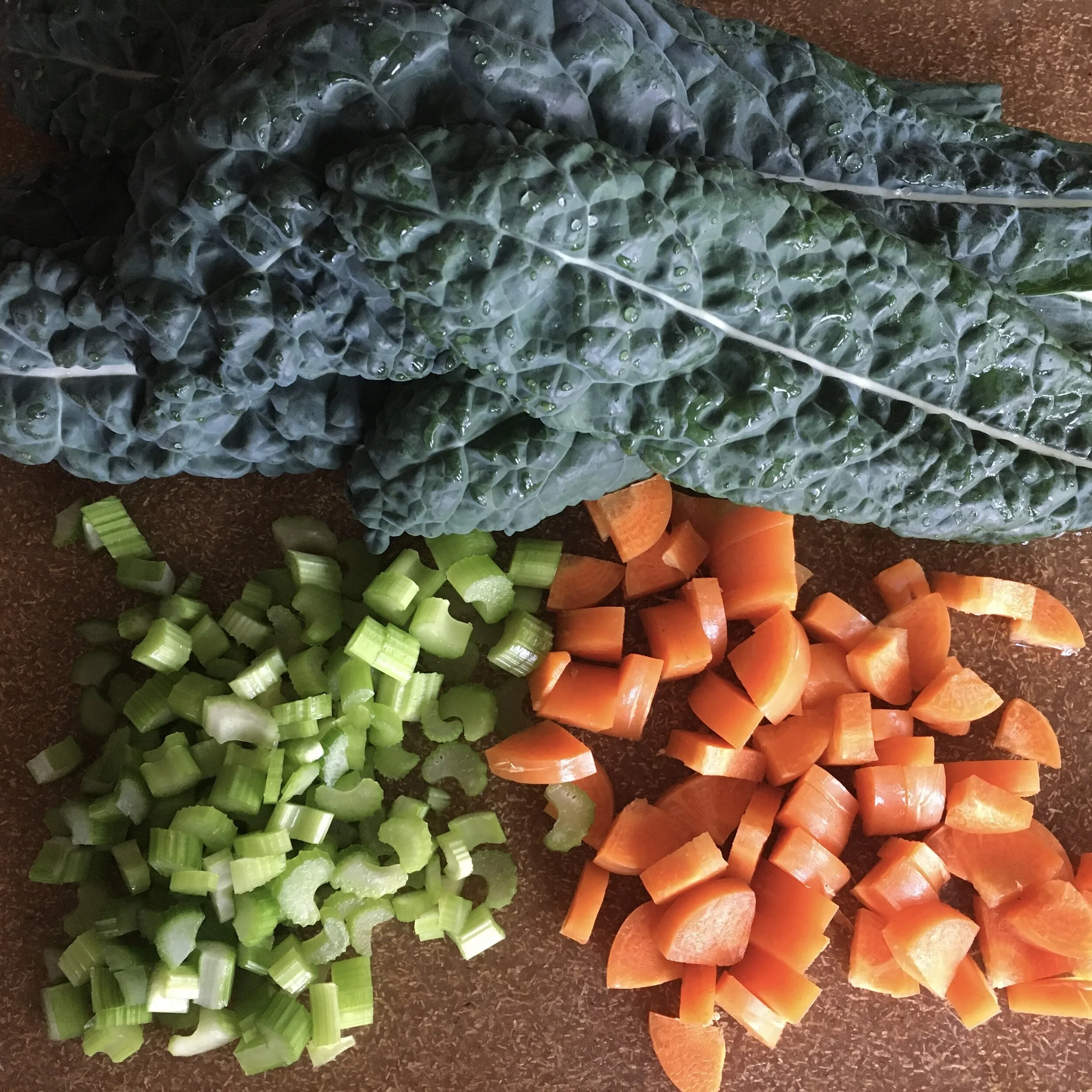 In My San Diego Garden and Kitchen