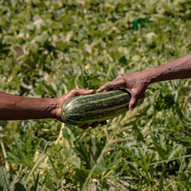 Ron Finley on Growing a Garden