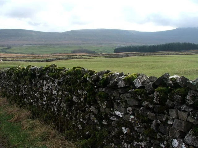 Drystone_Wall_with_Moss_at_Bruntscar._-_geograph.org.uk_-_348085.jpg