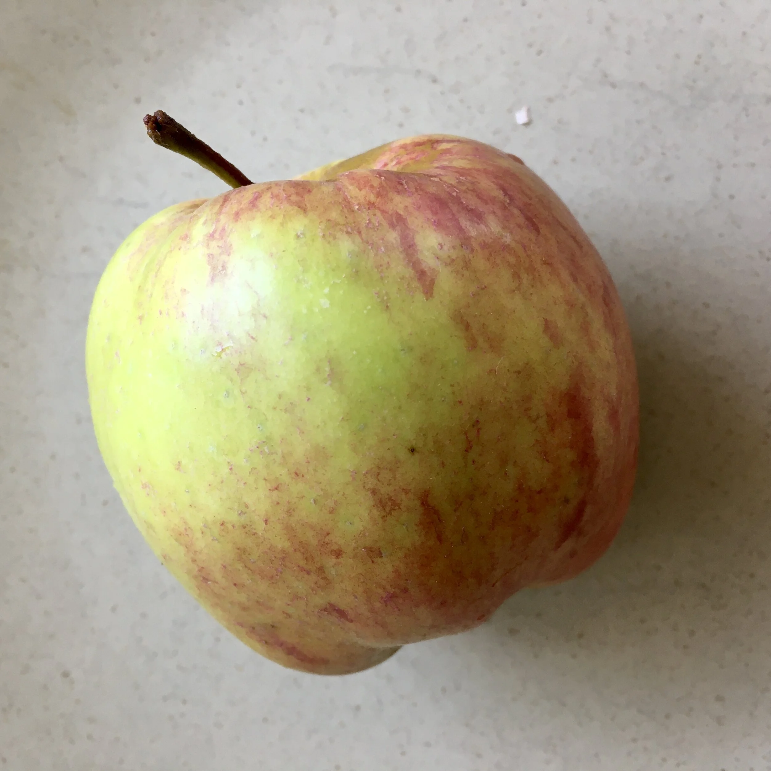 In My San Diego Garden and Kitchen