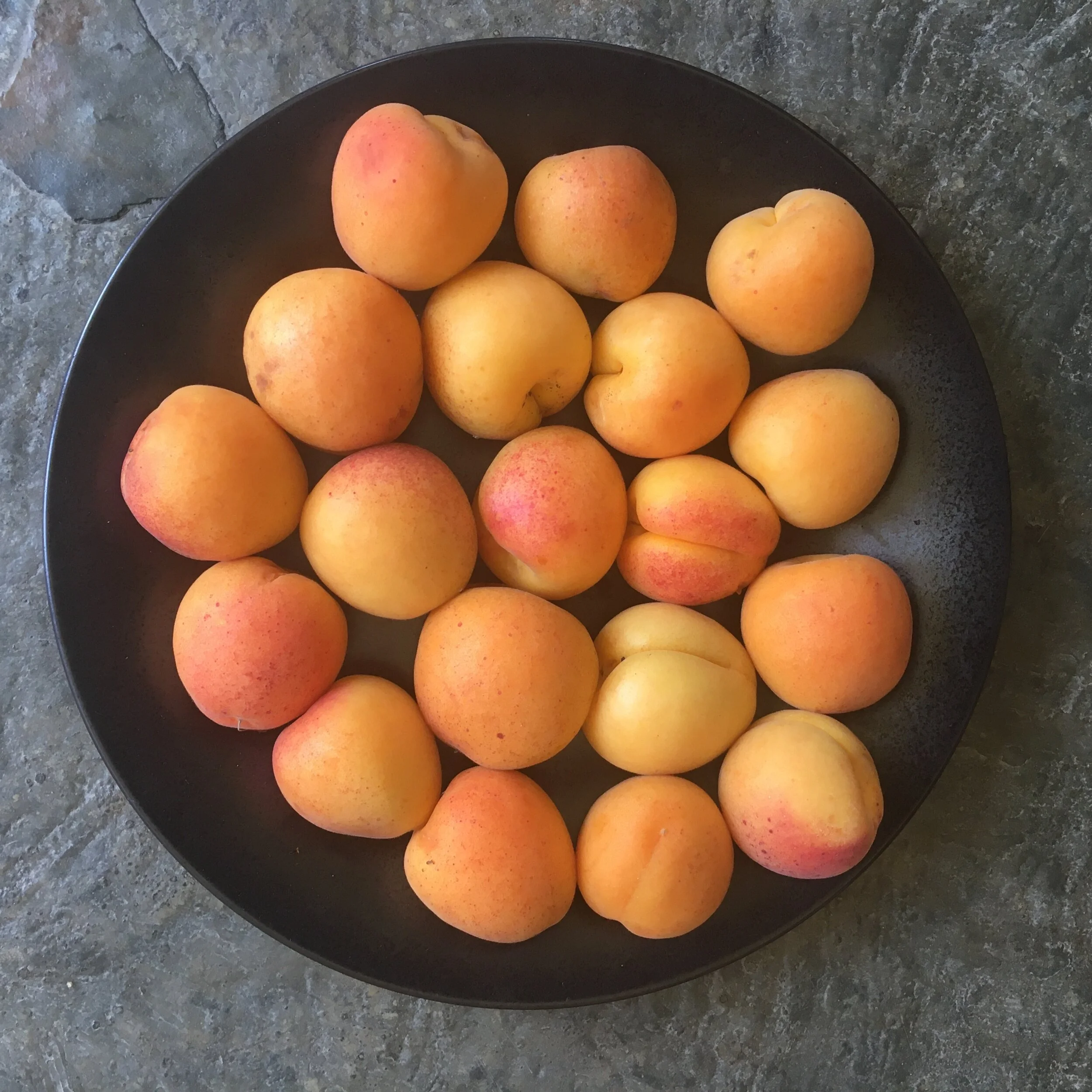 In My San Diego Garden and Kitchen