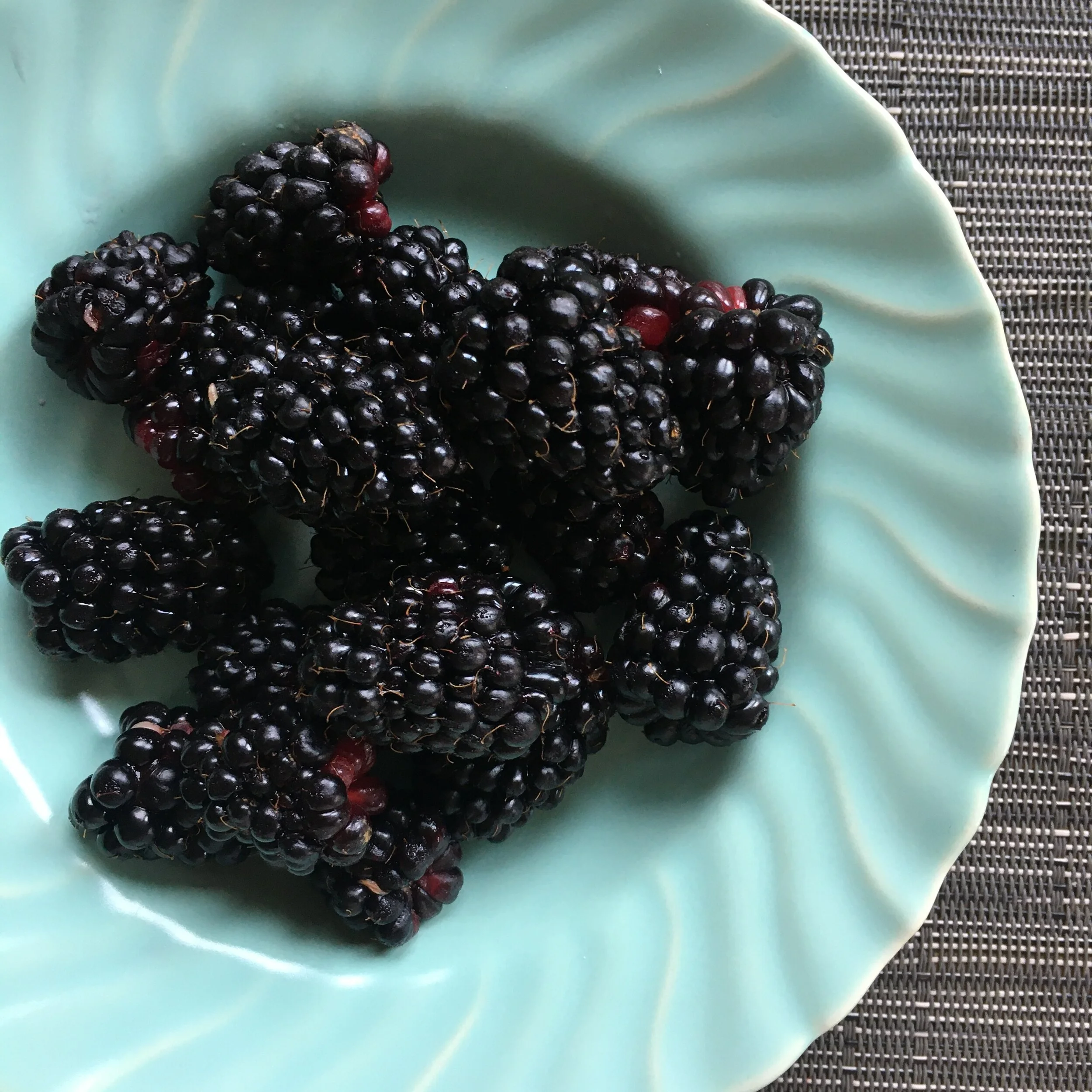 In My San Diego Garden and Kitchen