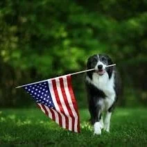 Independence Day, 2020