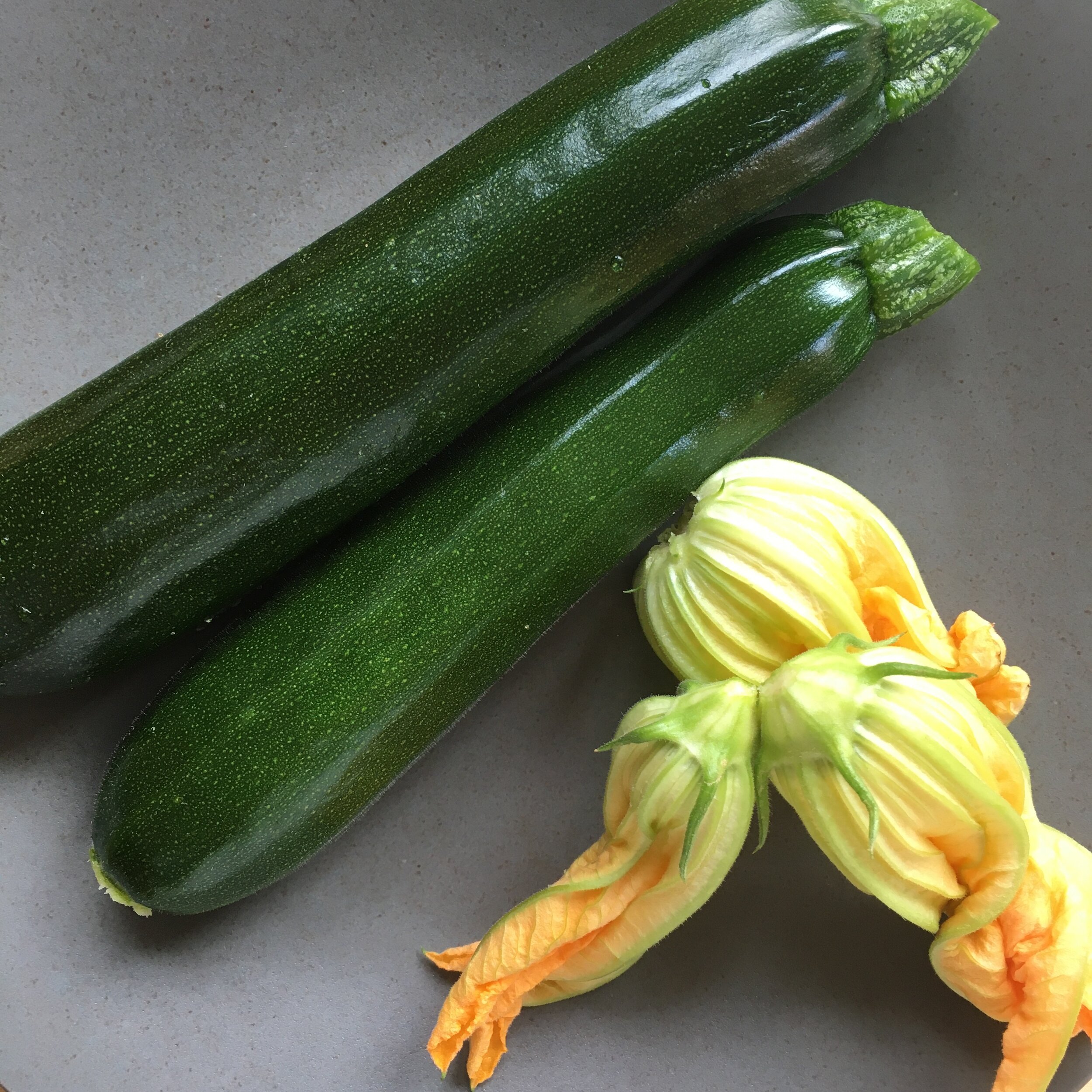 In My San Diego Garden and Kitchen