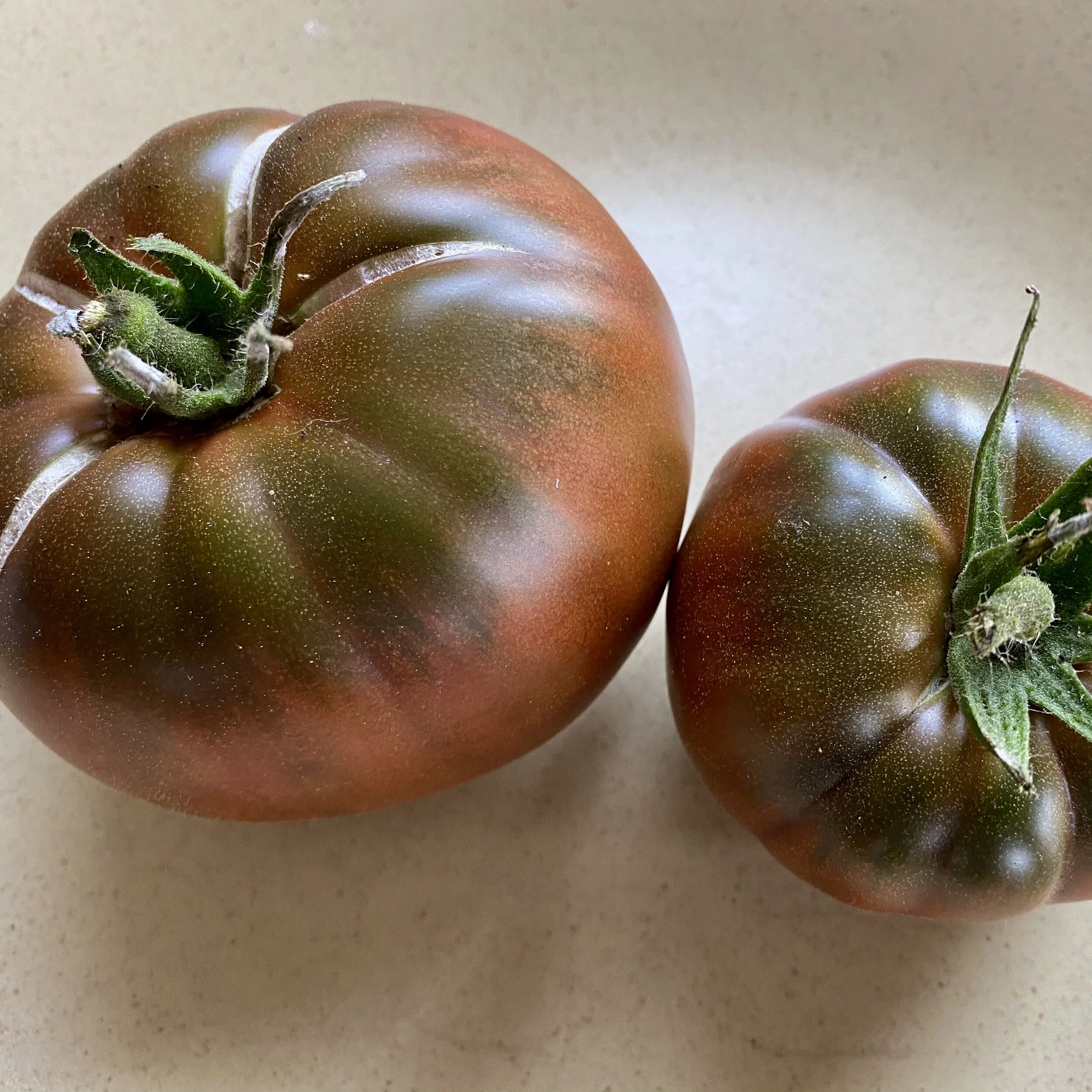 In My San Diego Garden and Kitchen