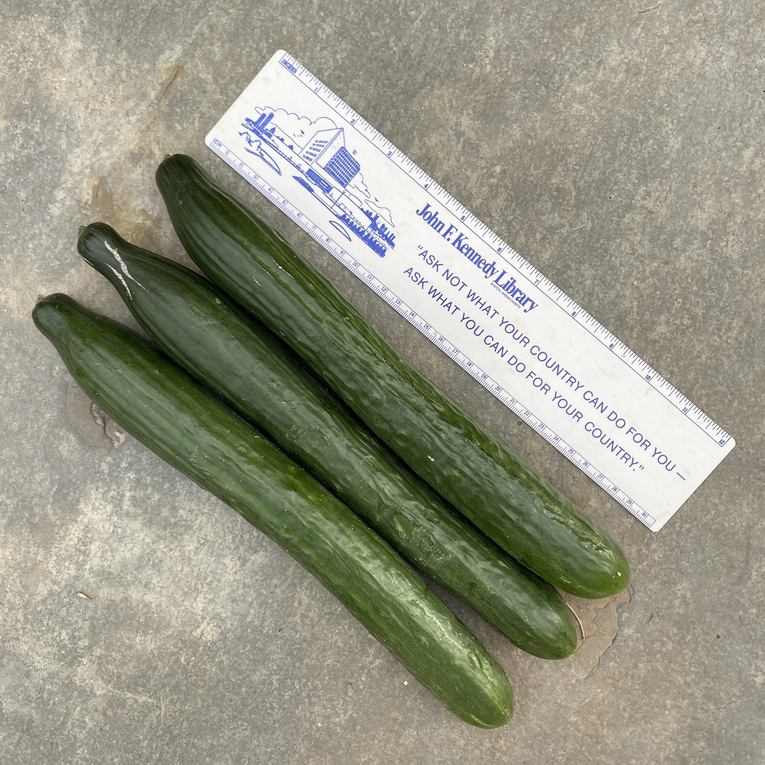 In My San Diego Garden and Kitchen