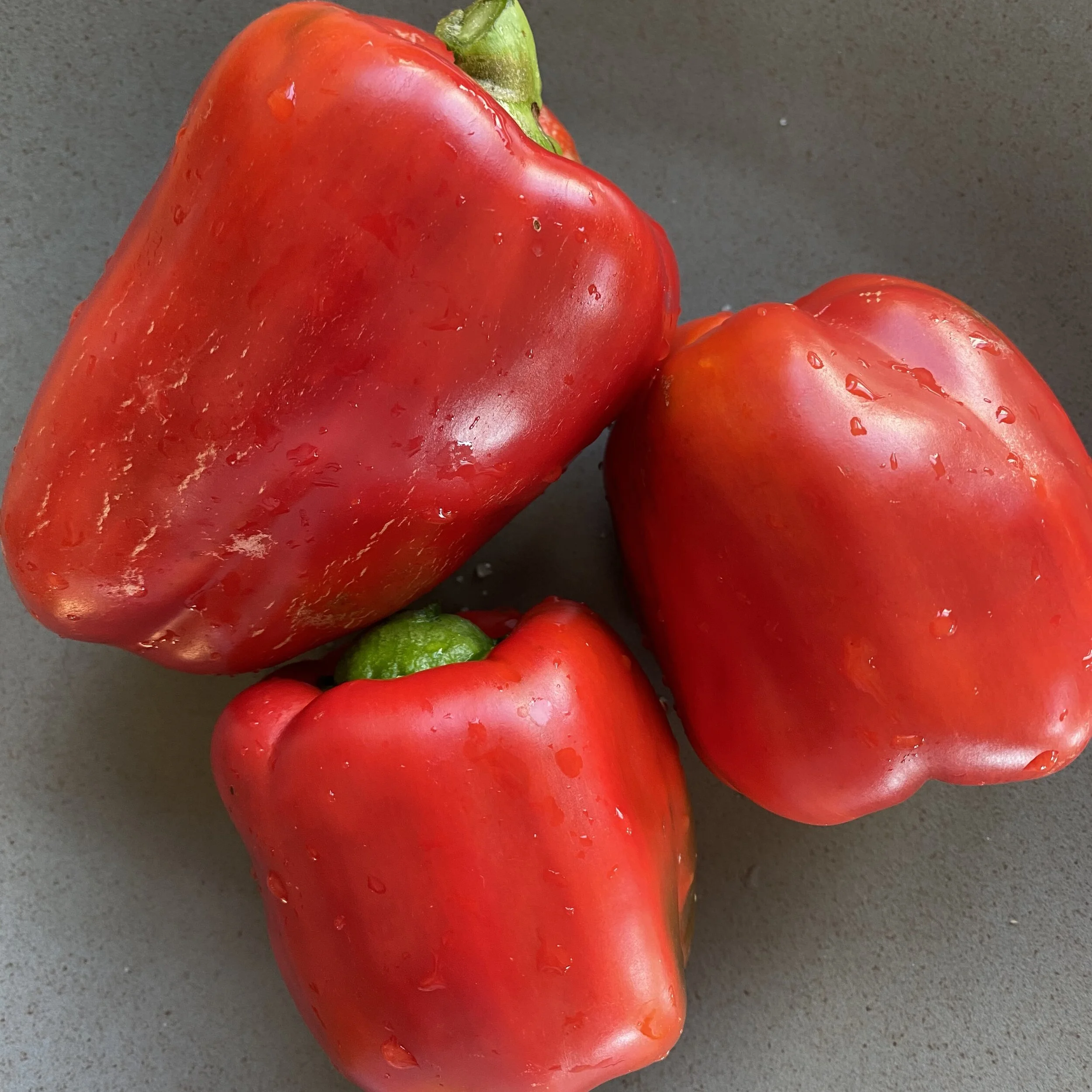 In My San Diego Garden and Kitchen