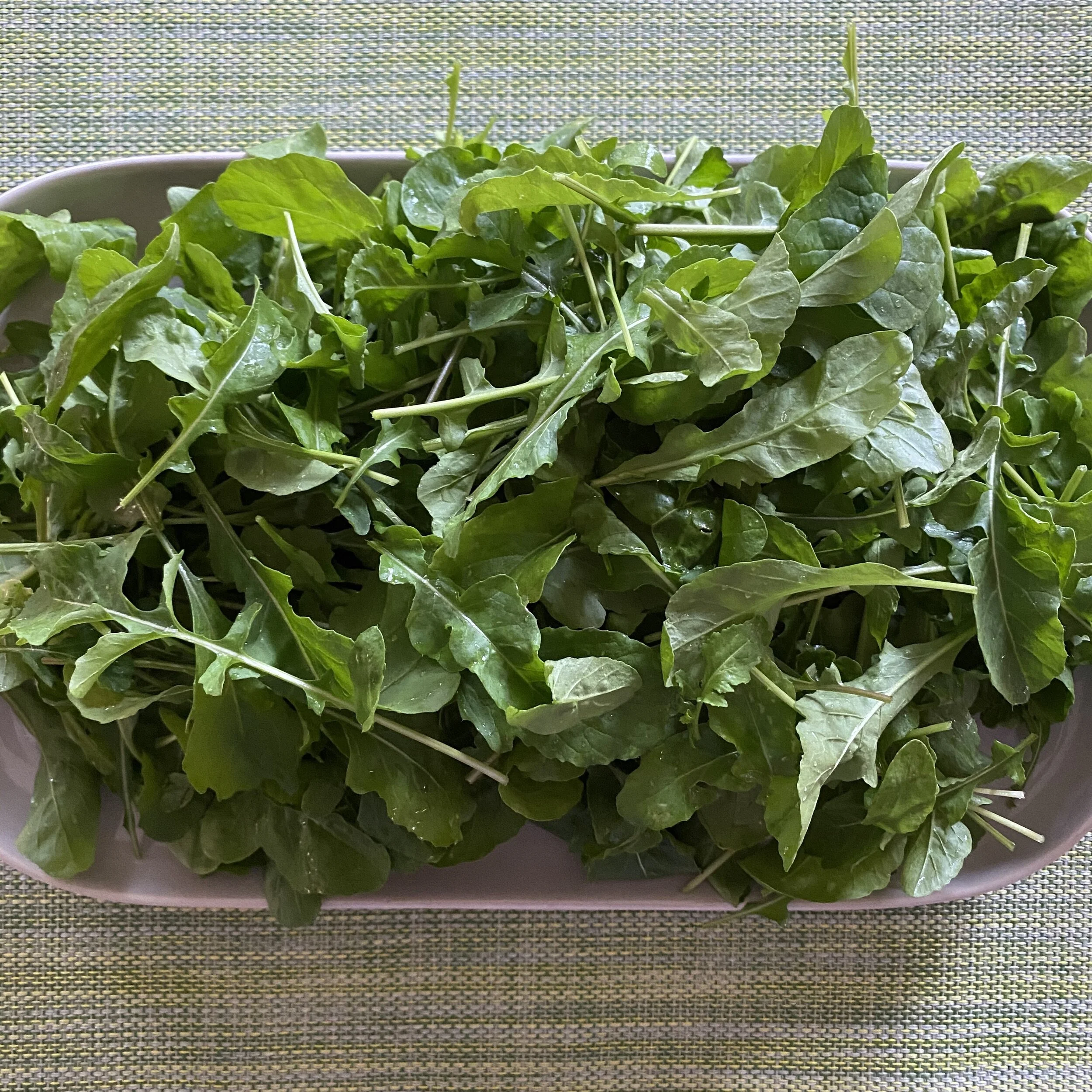 In My San Diego Garden and Kitchen