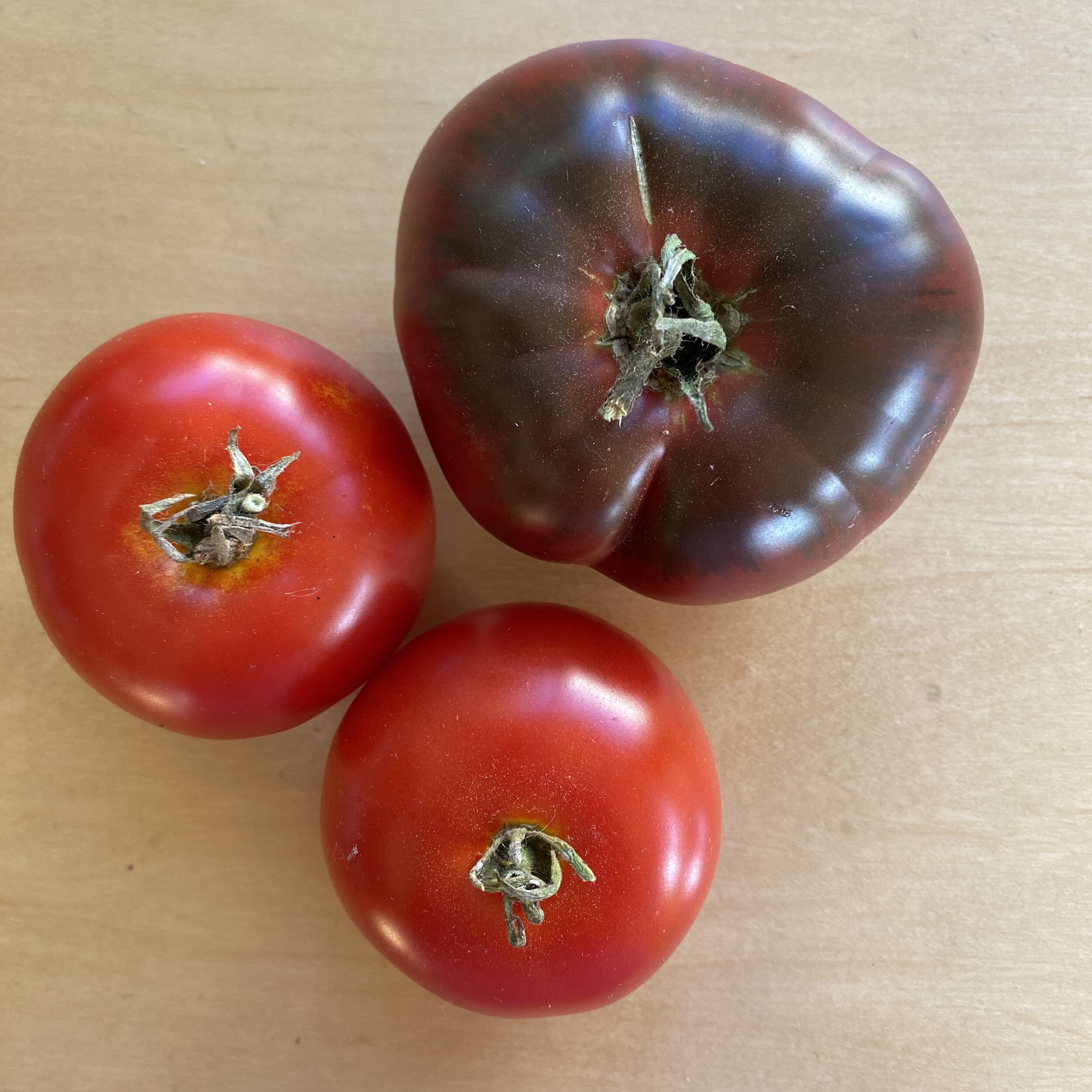 Time to Save Tomato Seeds