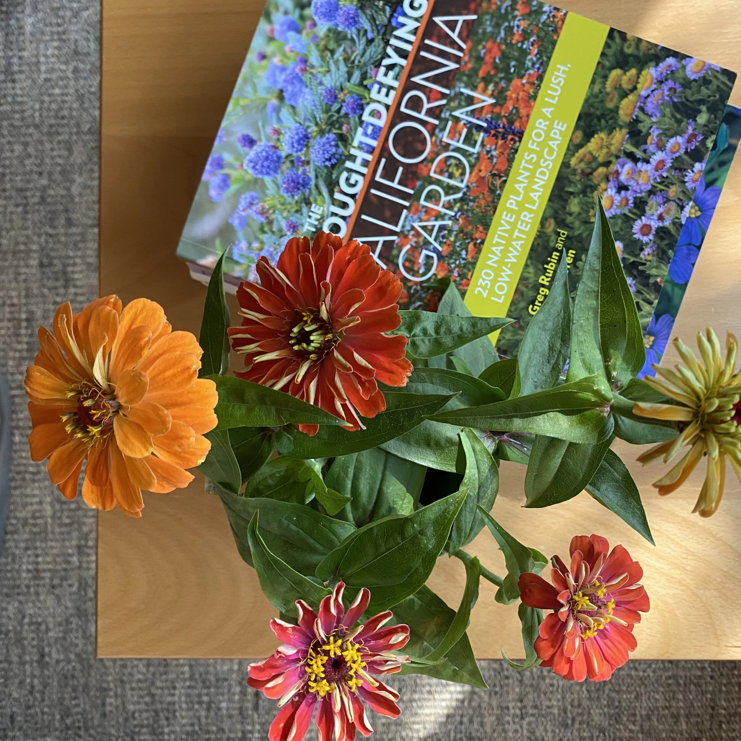 Farewell to Zinnias