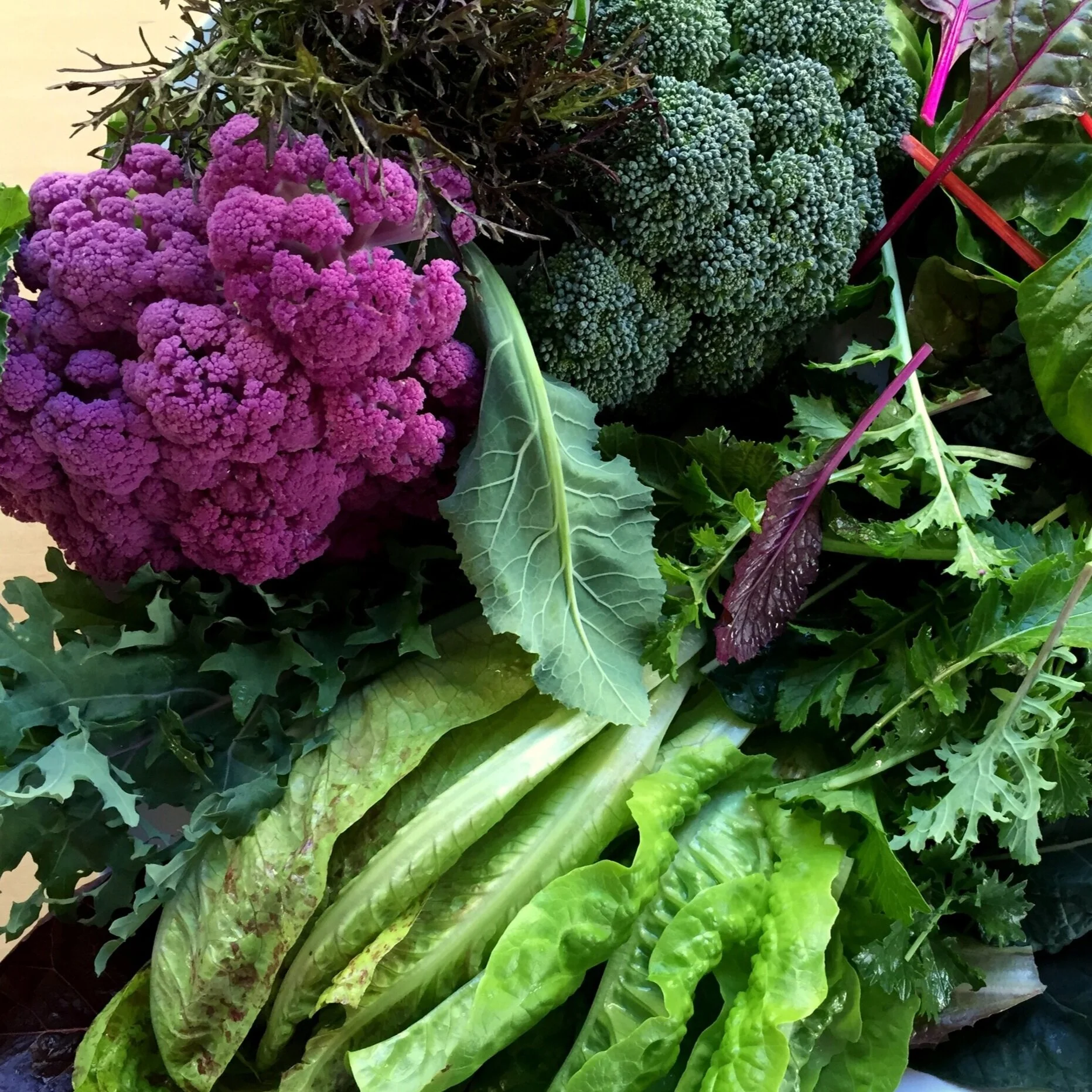 Choosing Vegetables to Grow in the Cool Season