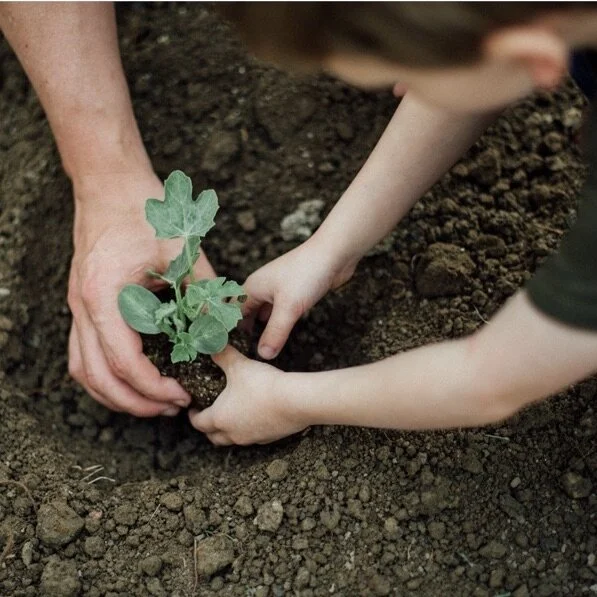 Parenting Is Gardening