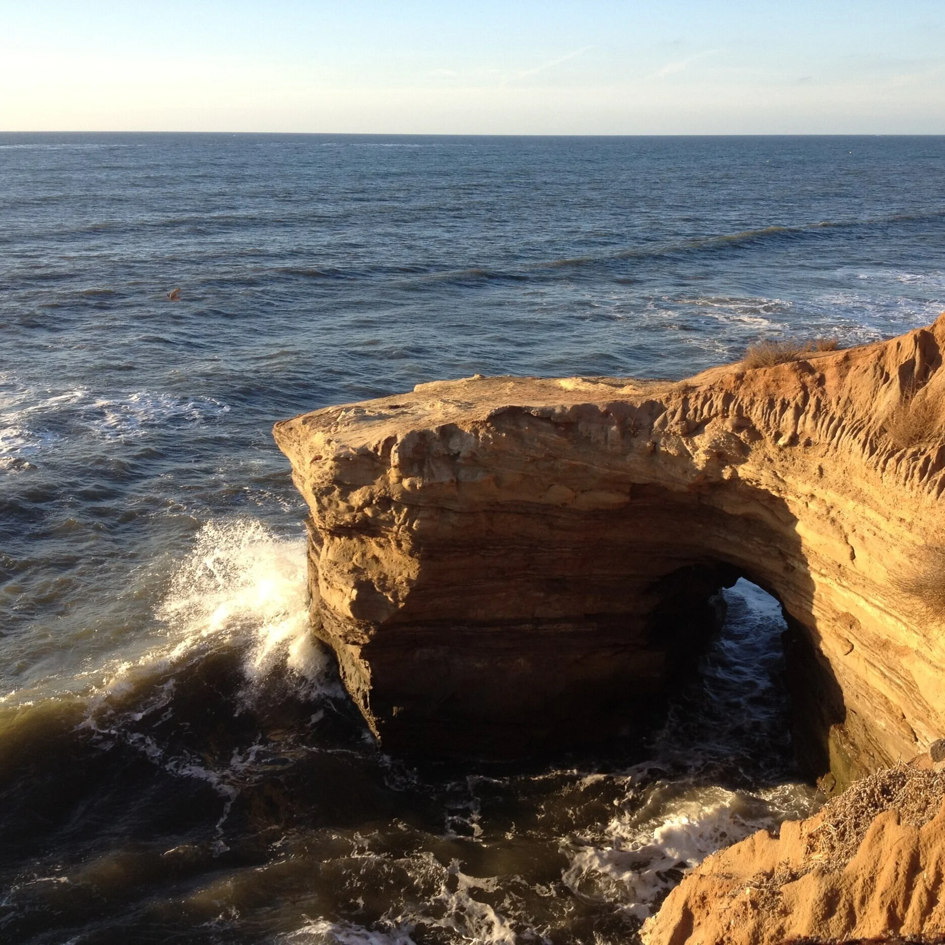 #OptOutside and Public Trust