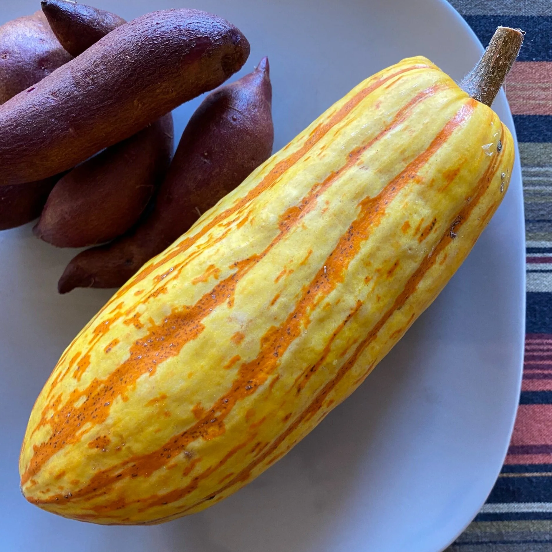 In My San Diego Garden and Kitchen