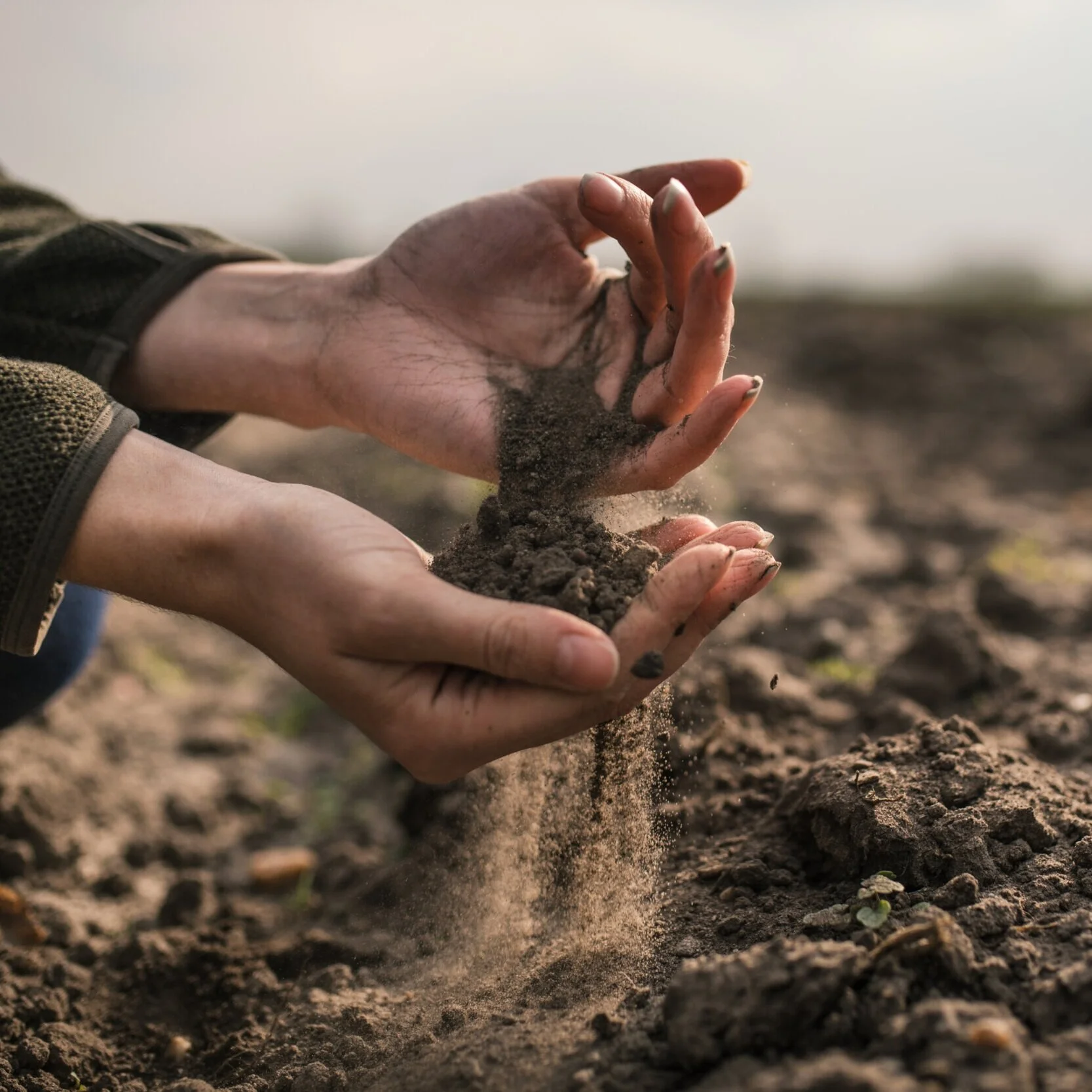 John Jeavons on Soil