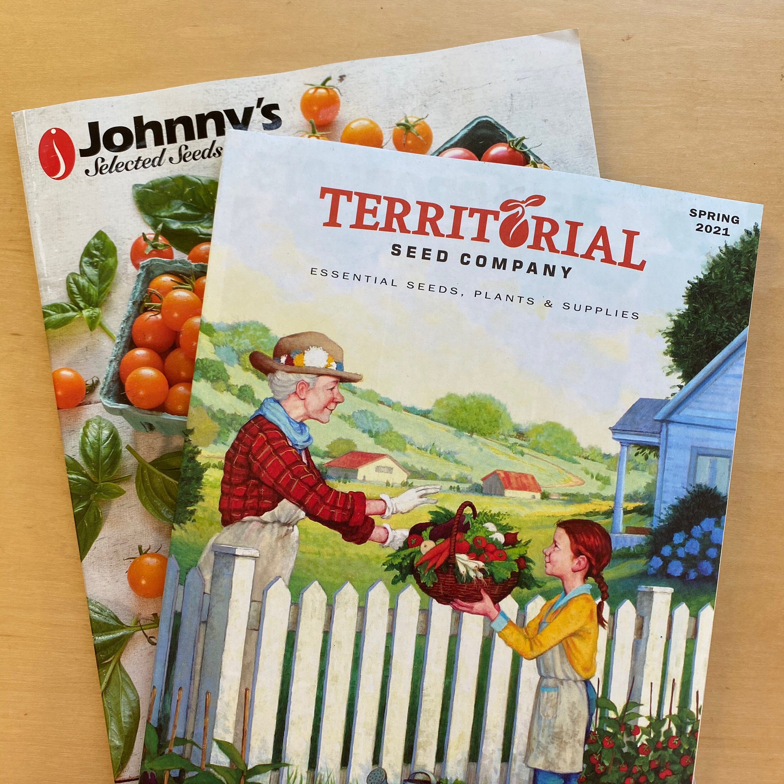Sourcing Organic Vegetable Seeds