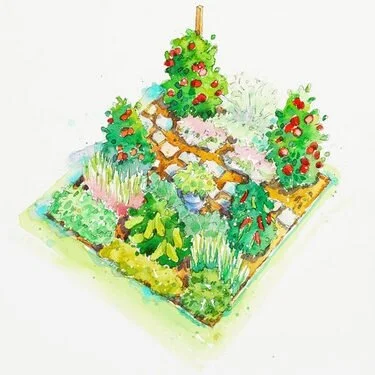 Vegetable Garden Plans
