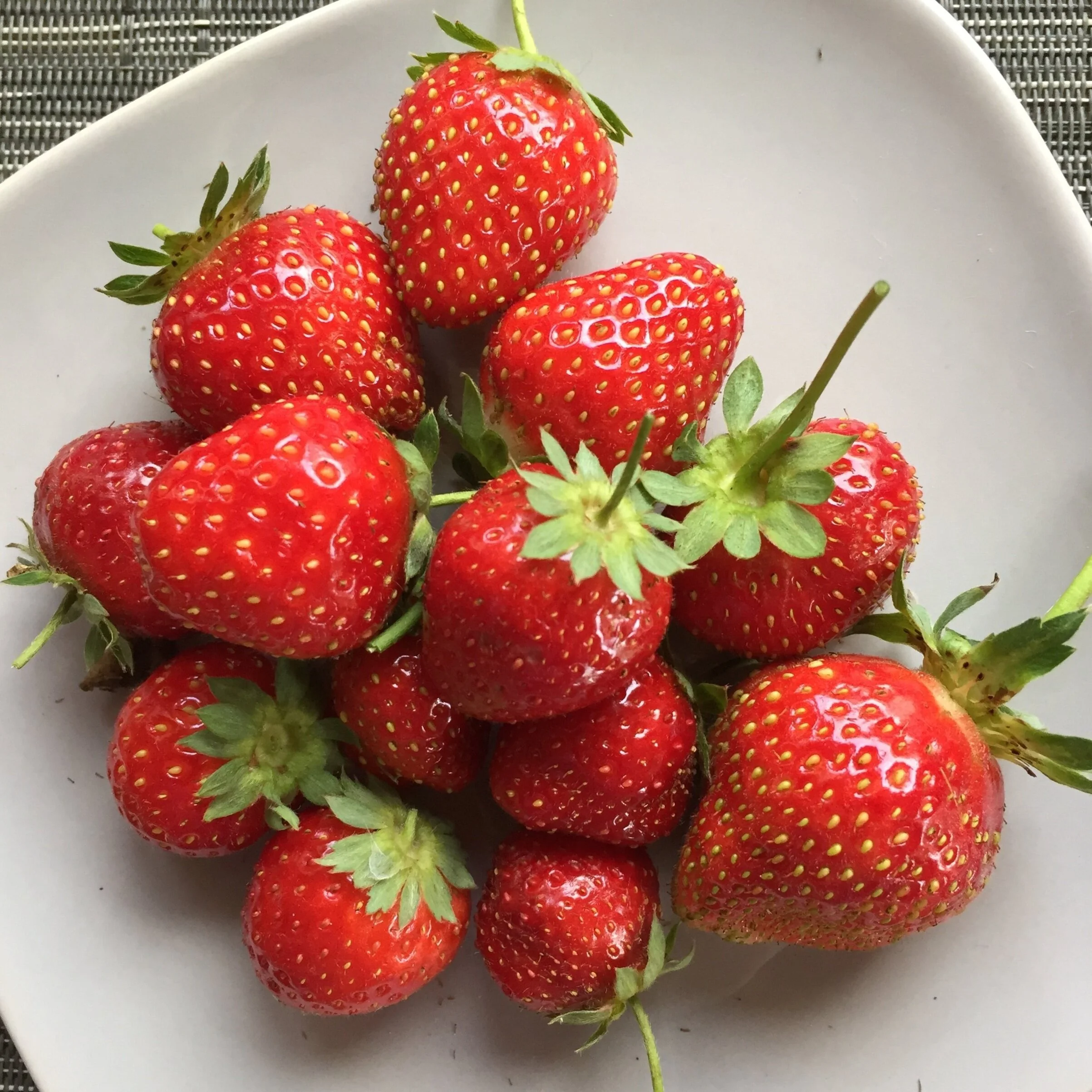 Plan Your Garden: The Dirty Dozen and Clean 15