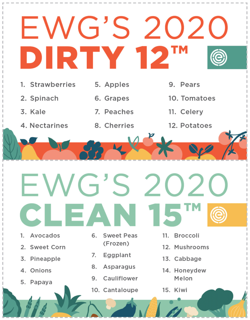 Plan Your Garden The Dirty Dozen and Clean 15 — ediblegardens52