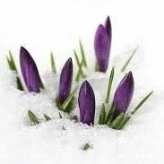 March by John Updike