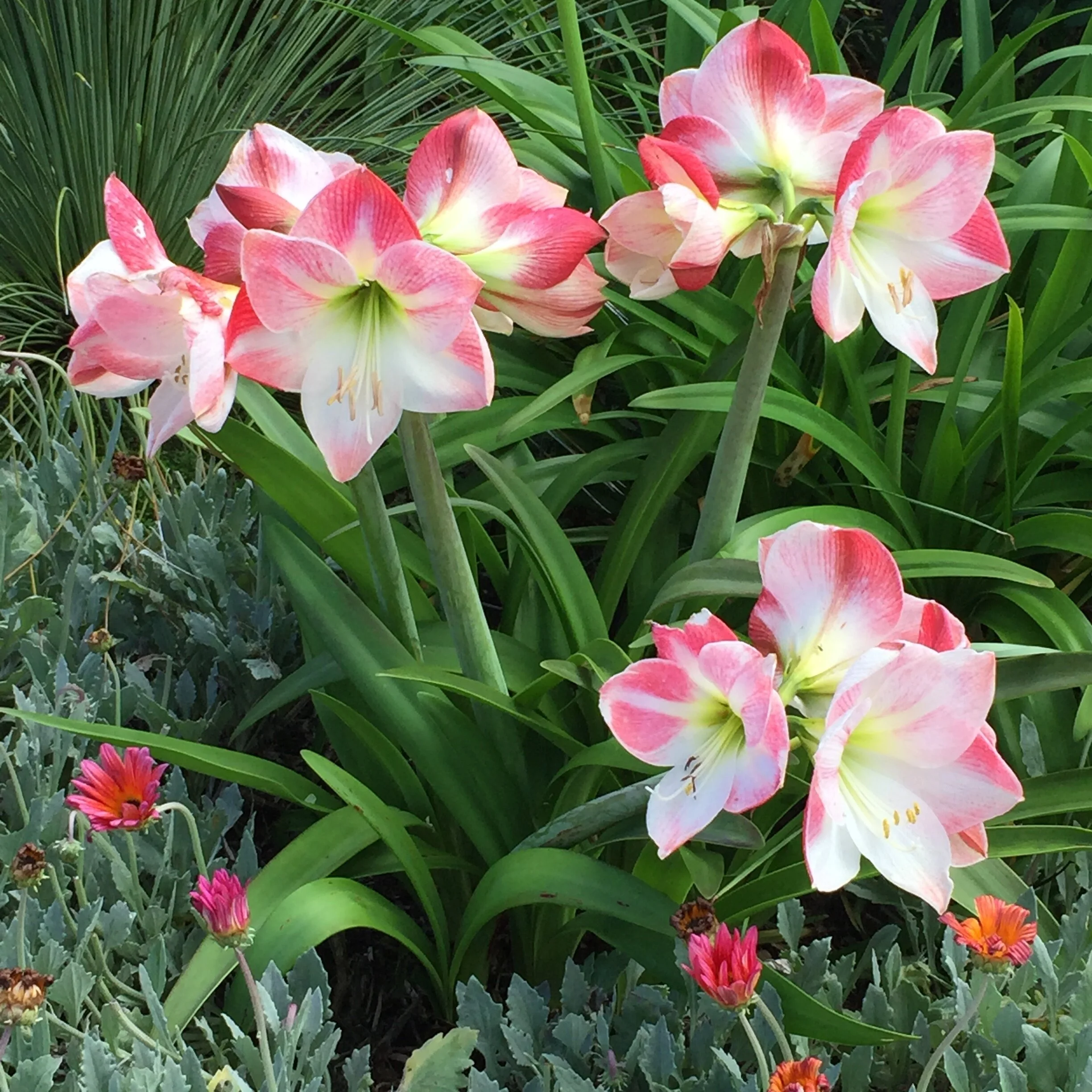 First Day of Spring with Robert Frost