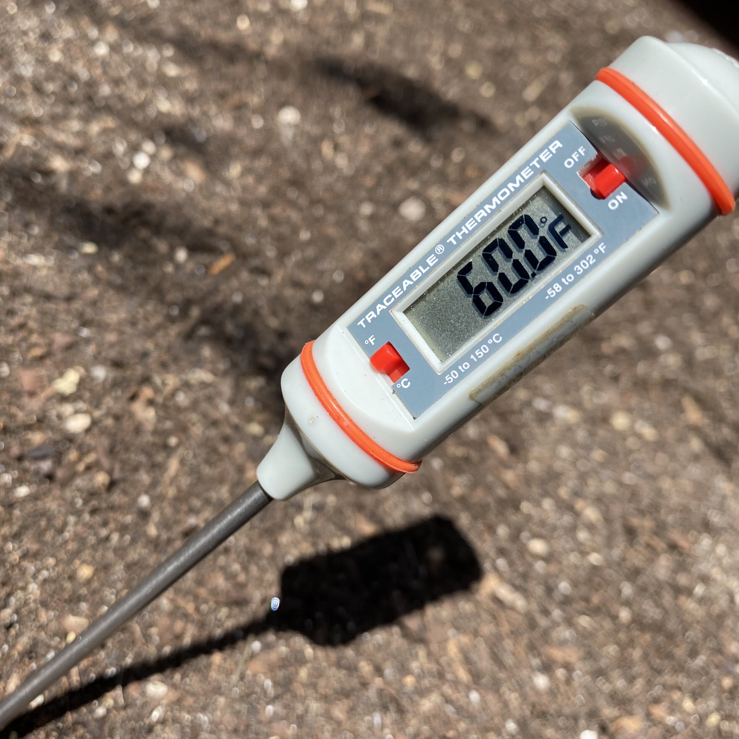 Planting Vegetables and Soil Temperature