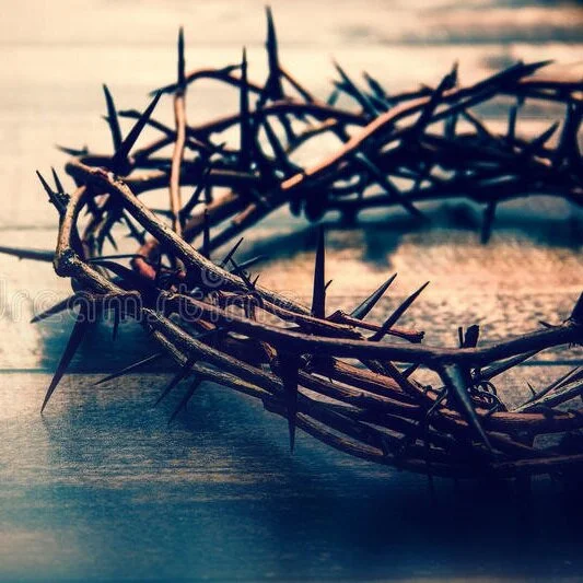 Crown of Thorns