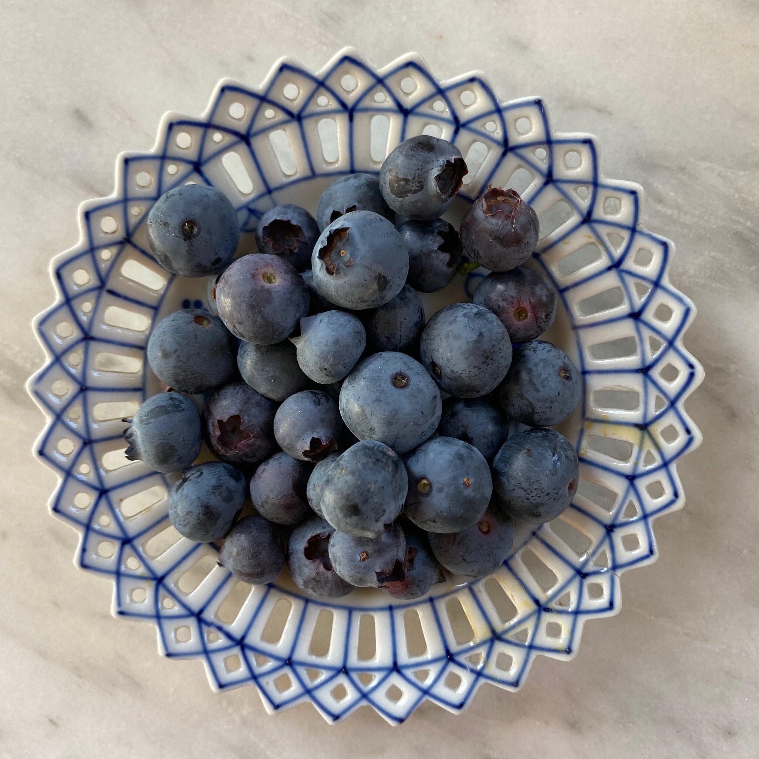 In My San Diego Garden and Kitchen