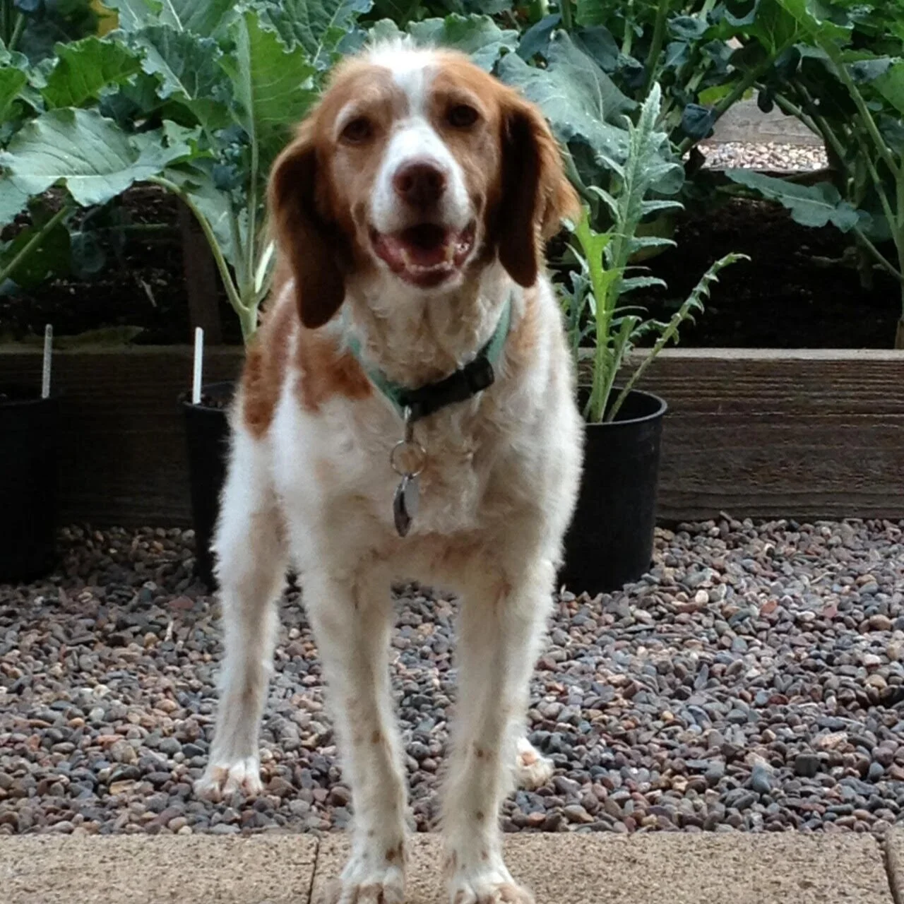 A Time to Say Goodbye