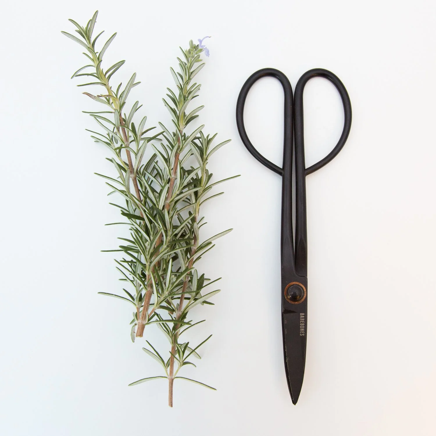 Cuttings: Selected Quotes and Resources