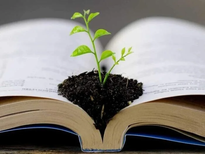 Photo: Rogers Gardens