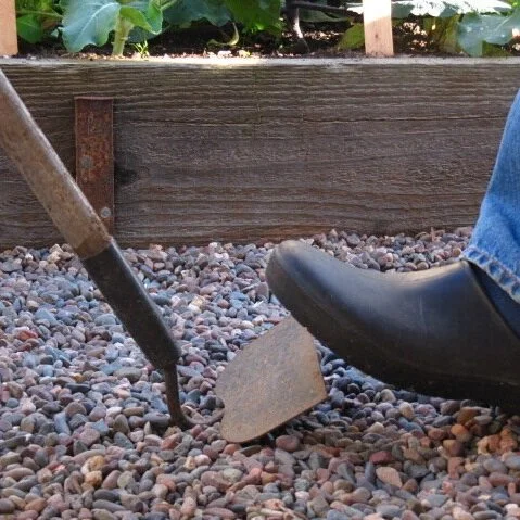 The Objection to Being Stepped On by Robert Frost