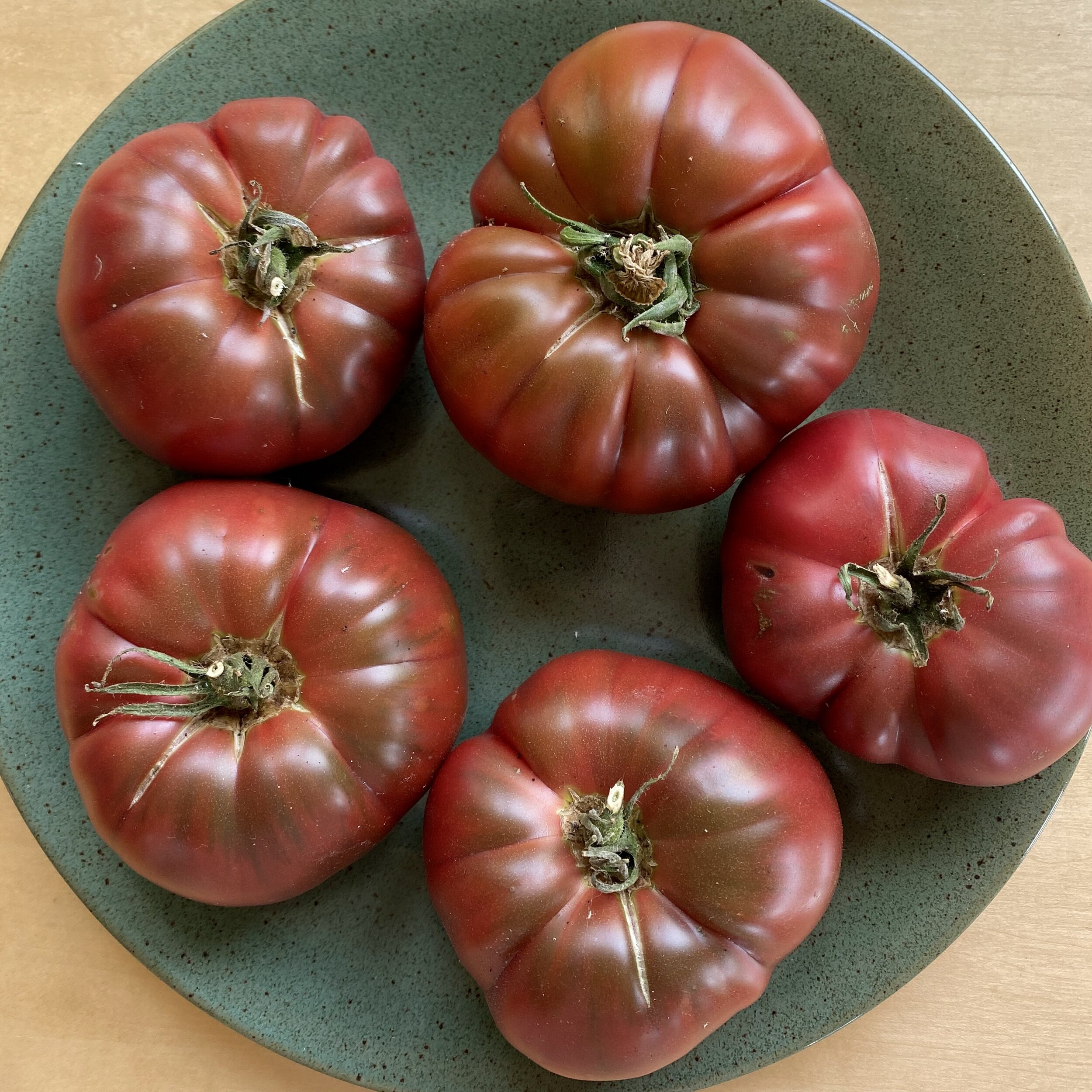 In My San Diego Garden and Kitchen