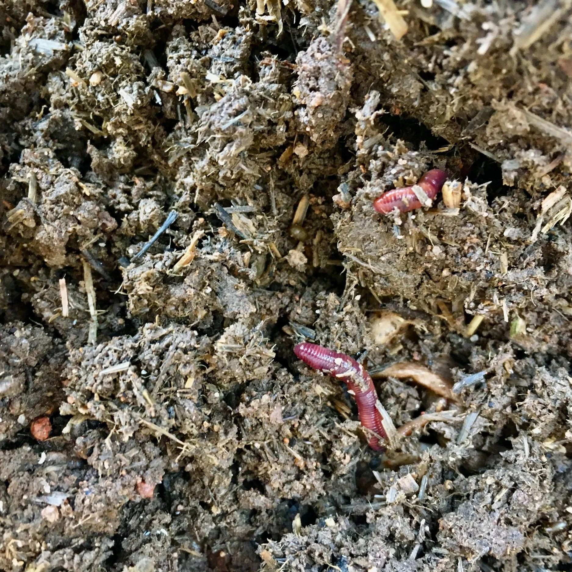 Smarter Composting