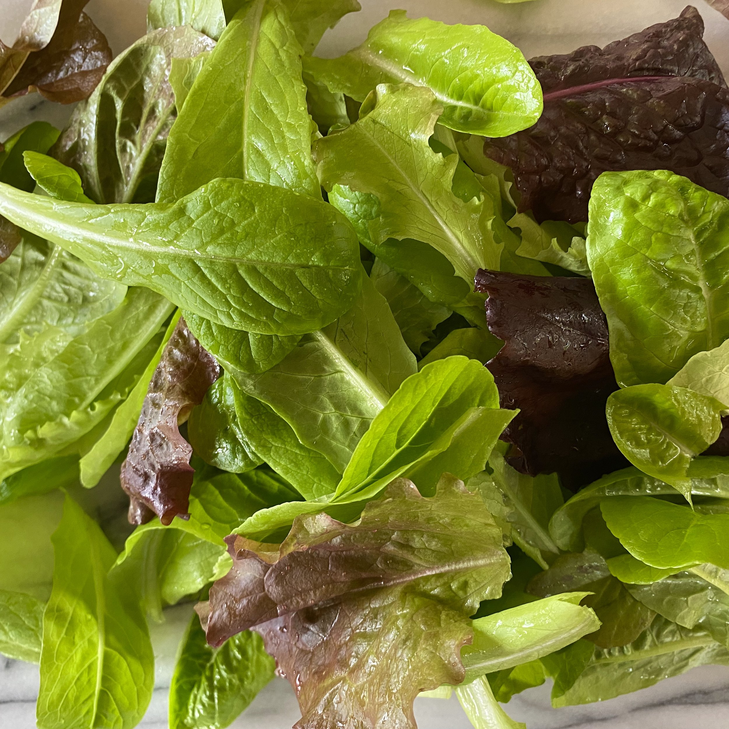 In My San Diego Garden and Kitchen