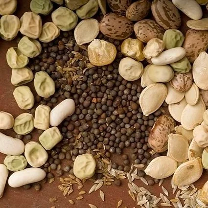 Tips for Vegetable Seed Germination