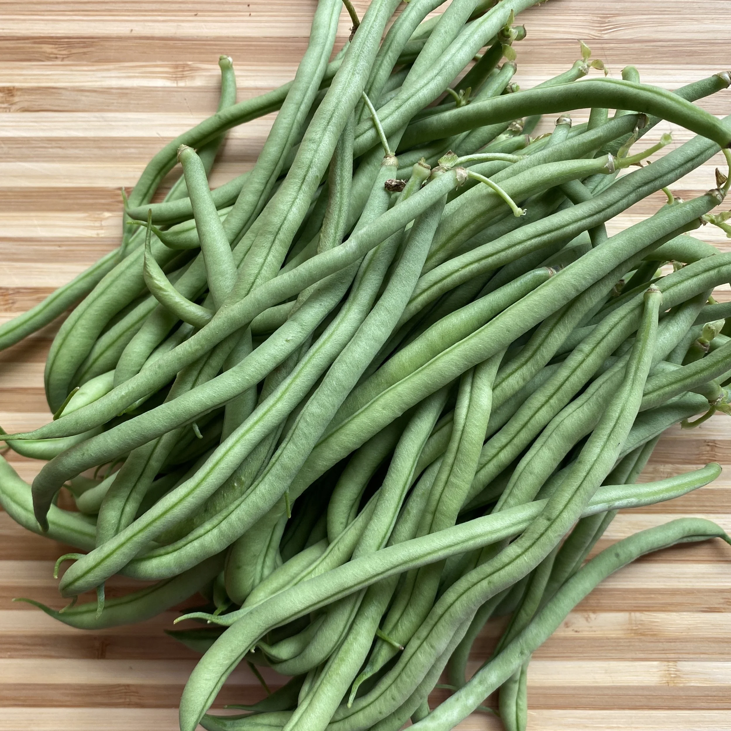 My Favorite Pole Bean--Emerite