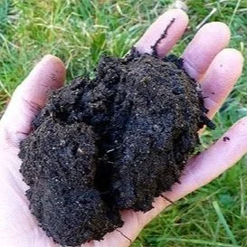 5 Easy Ways to Assess Your Soil