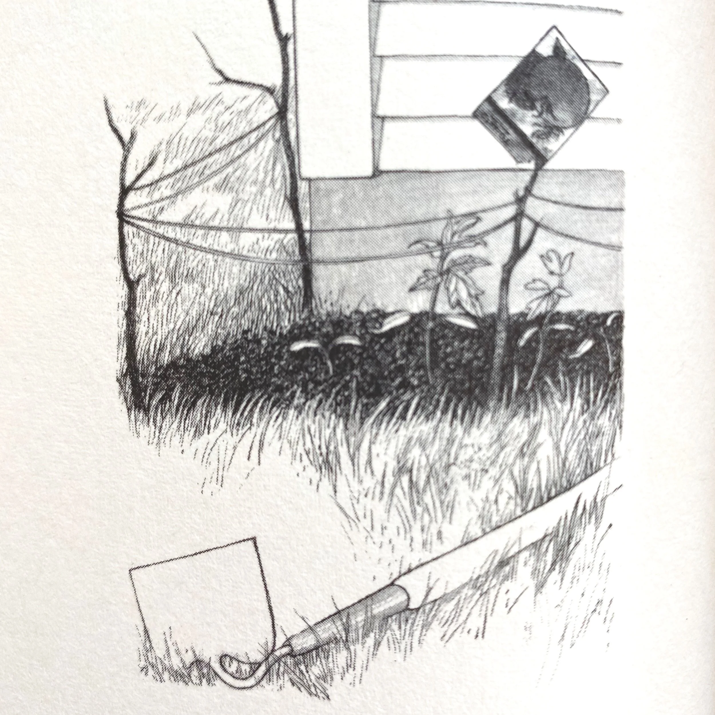 May by John Updike