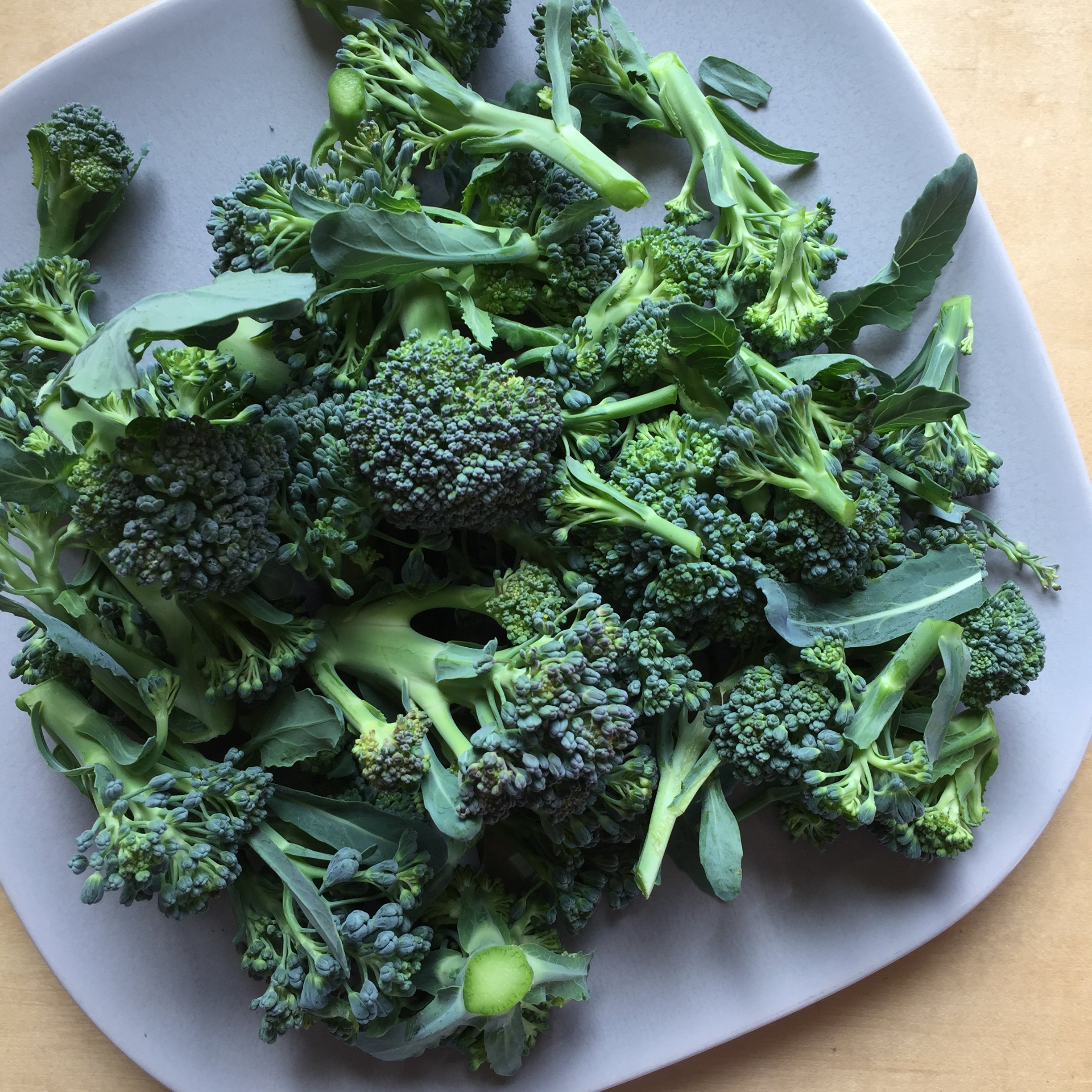 Michael Pollan's Food Rule #19