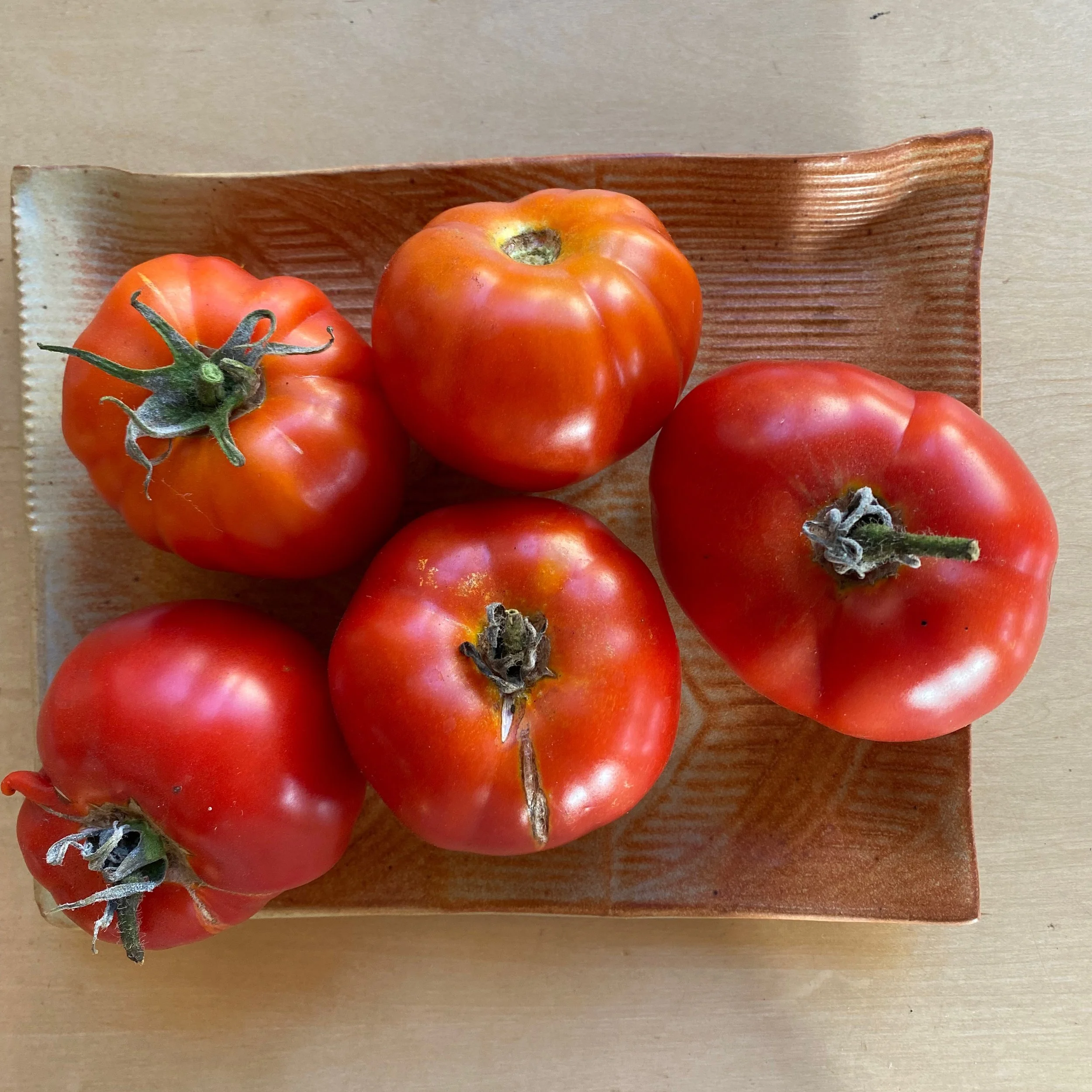 In My San Diego Garden and Kitchen