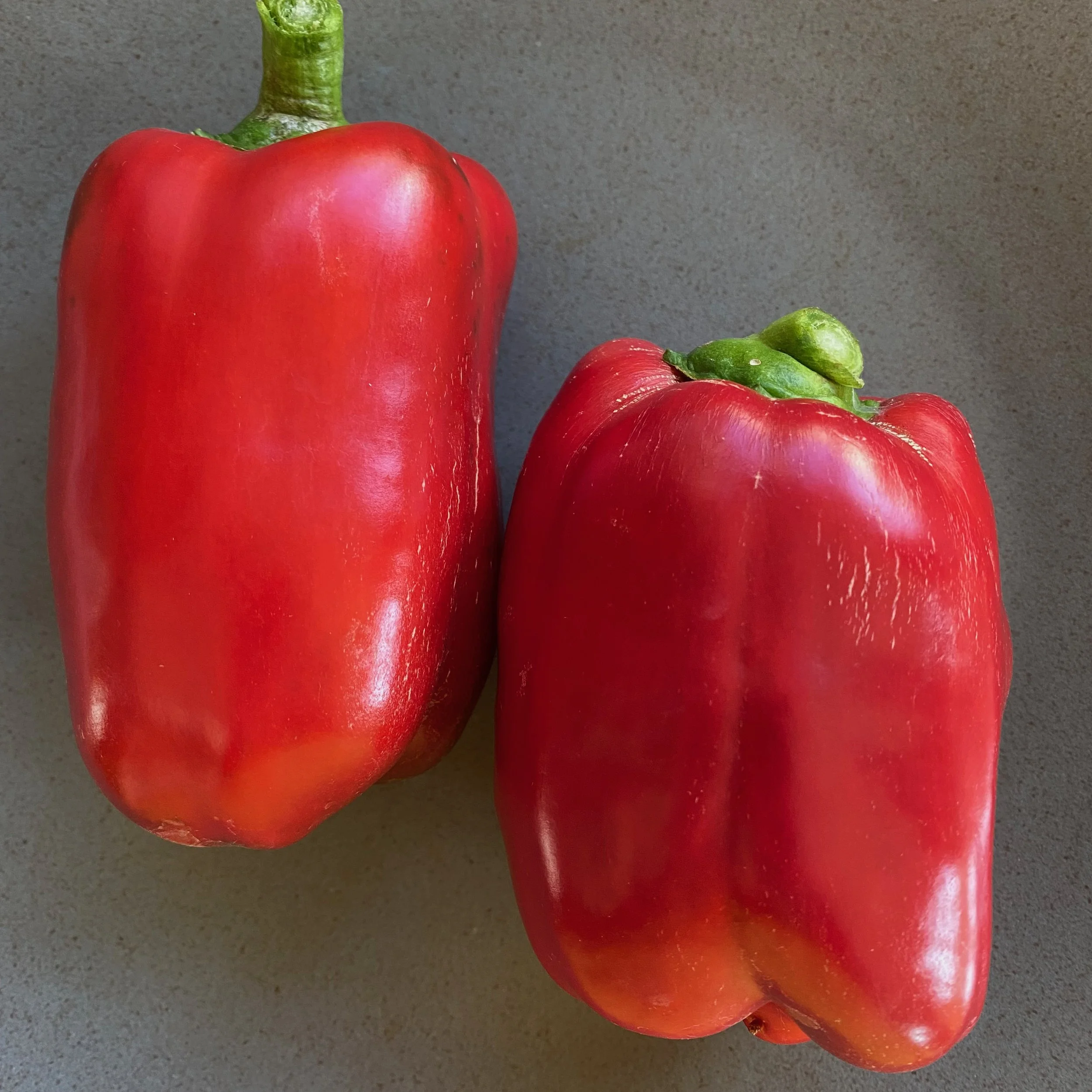 In My San Diego Garden and Kitchen