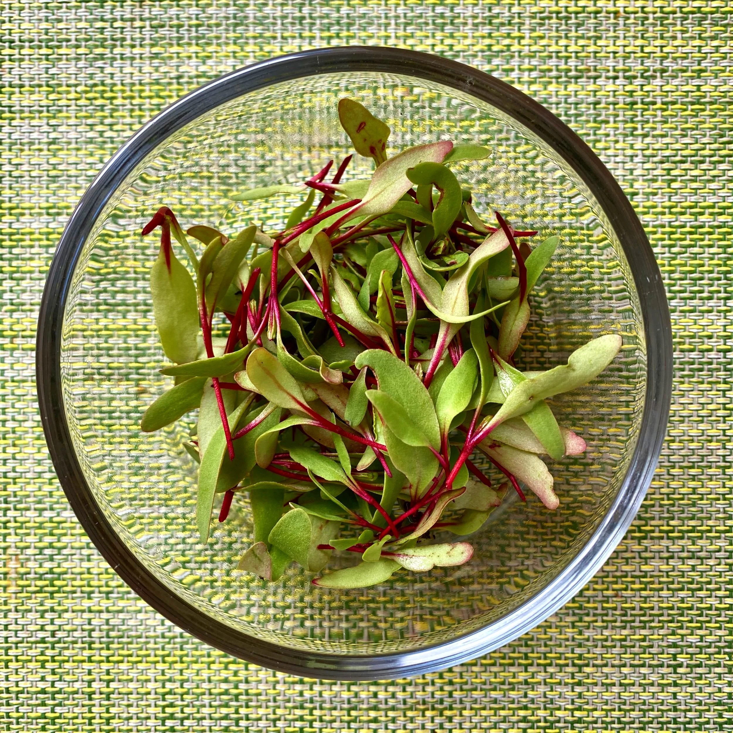 Planting and Thinning Beets