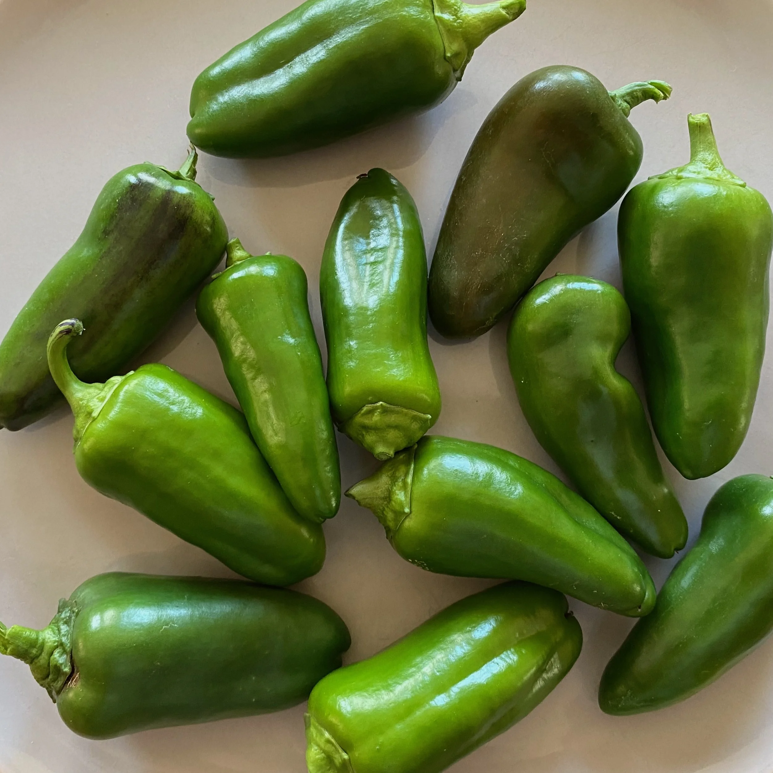 In My San Diego Garden and Kitchen